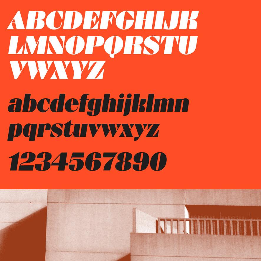 R41 DIVULGA Collezione A. Novarese