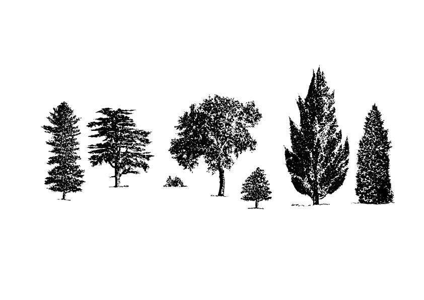 A 604 - Grafica Digitale