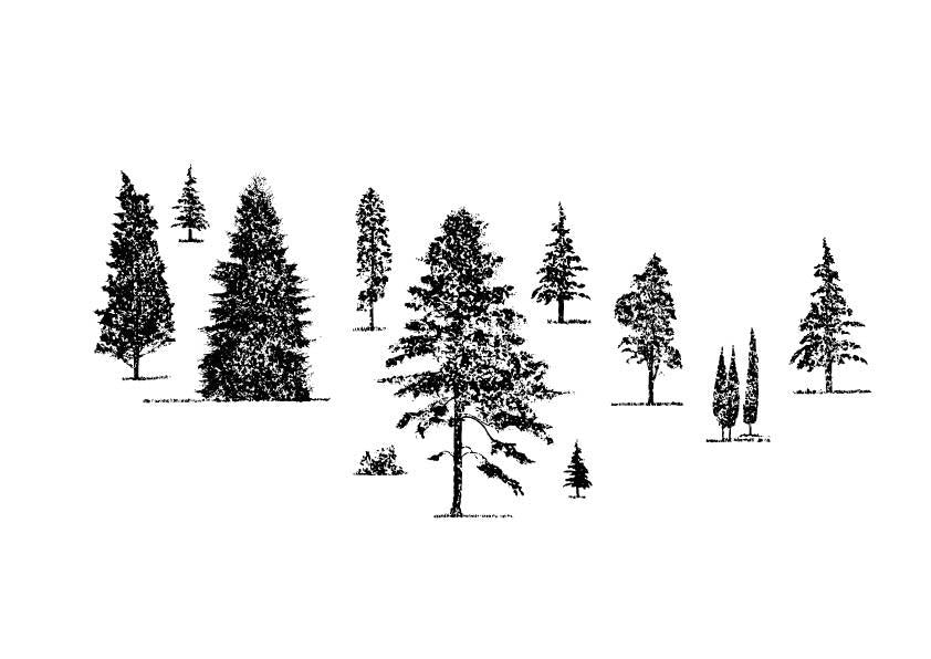 A 609 - Grafica Digitale