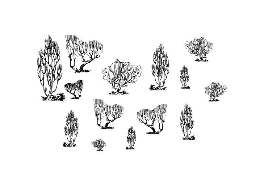 A 610 - Grafica Digitale