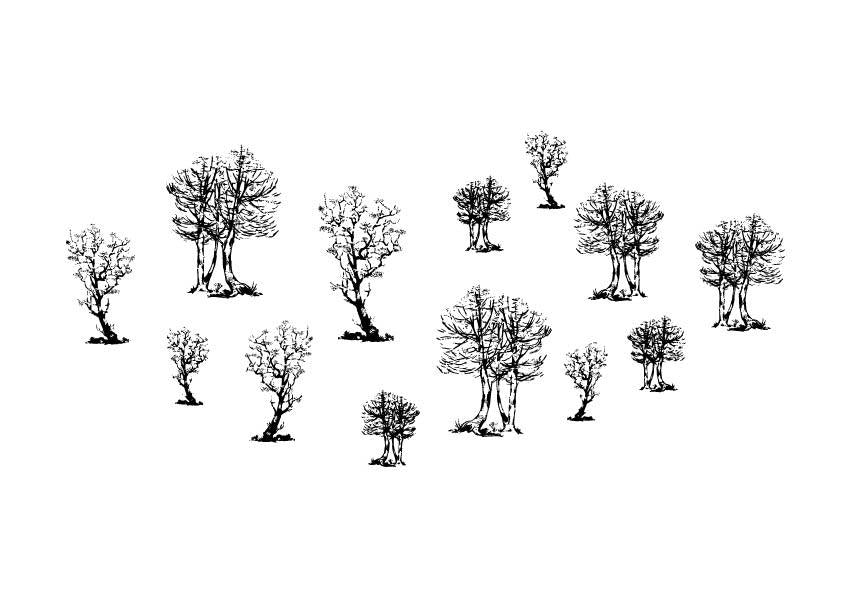 A 611 - Grafica Digitale