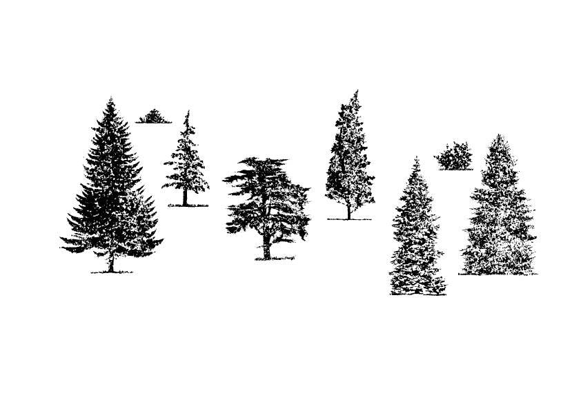 A 612 - Grafica Digitale