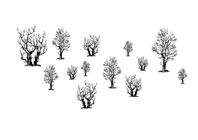 A 615 - Grafica Digitale