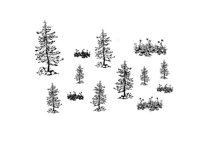 A 617 - Grafica Digitale