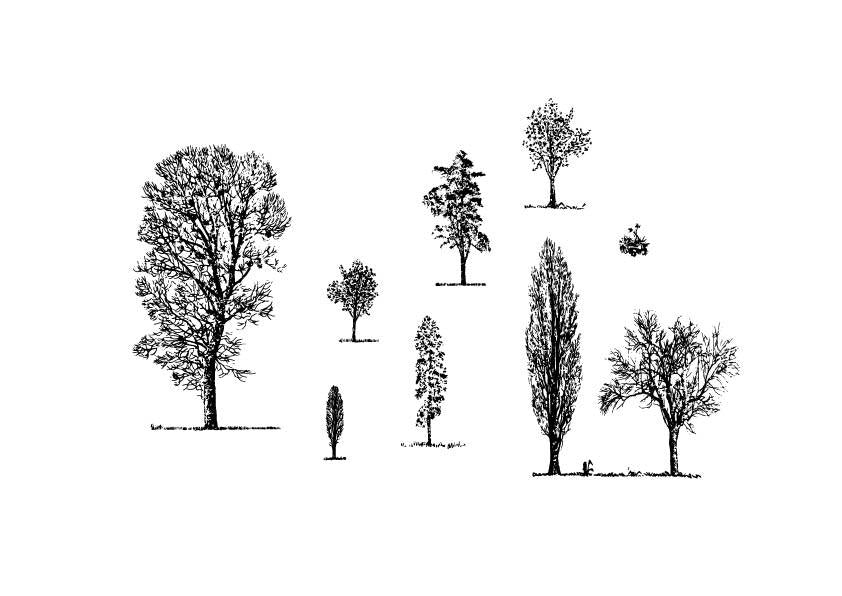 A 618 - Grafica Digitale