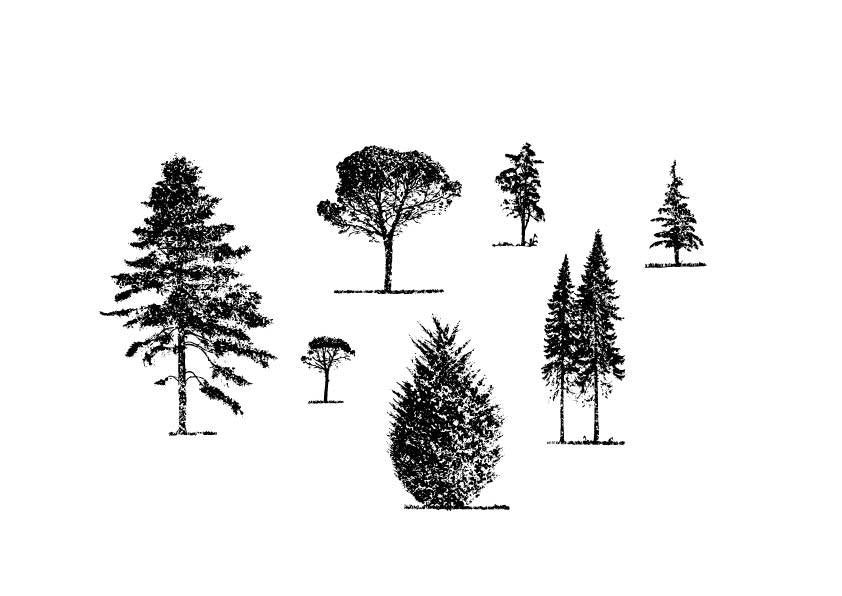 A 619 - Grafica Digitale