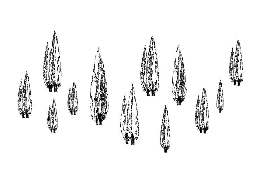 A 623 - Grafica Digitale