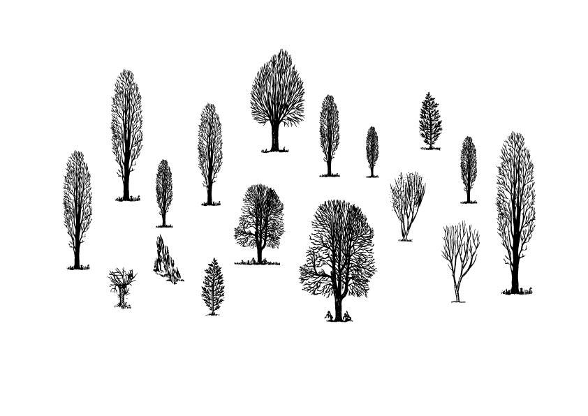 A624 - Grafica Digitale