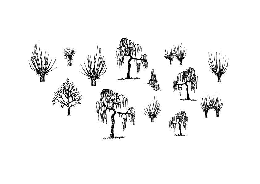 A 625 - Grafica Digitale