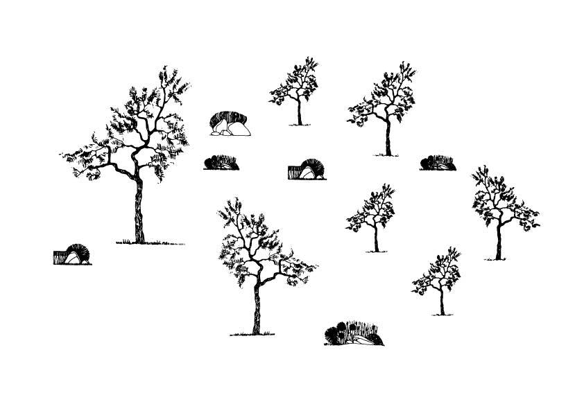 A 627 - Grafica Digitale