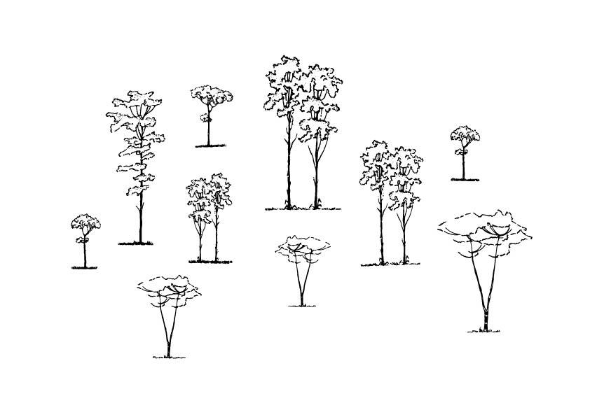 A 628 - Grafica Digitale