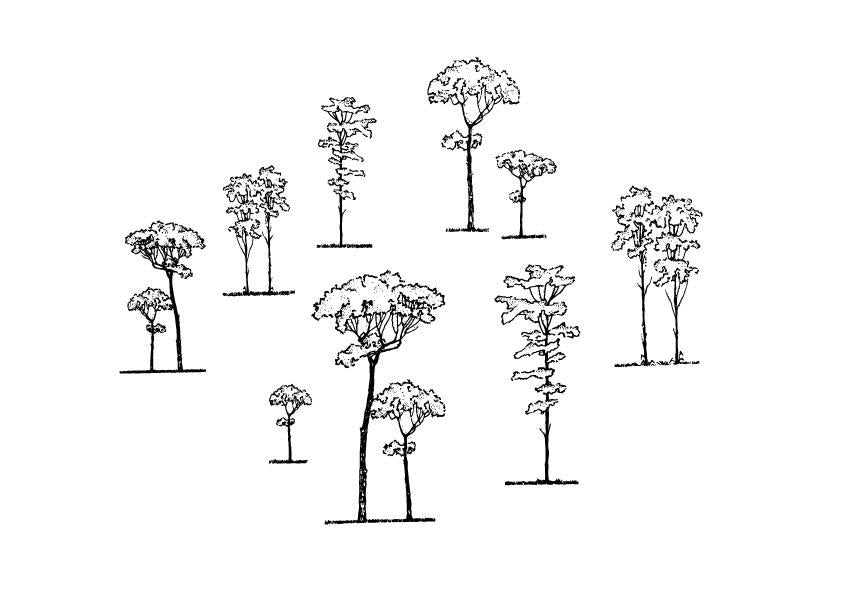 A 629 - Grafica Digitale