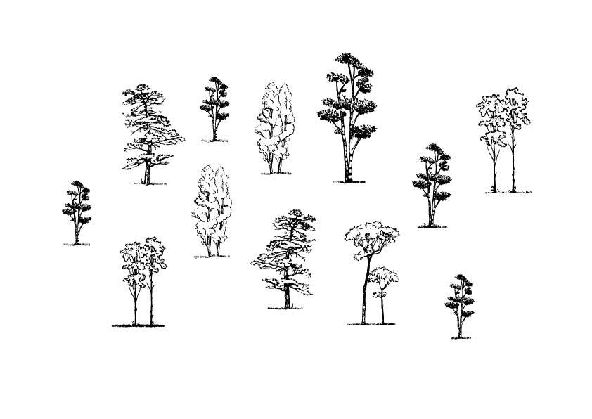 A 630 - Grafica Digitale