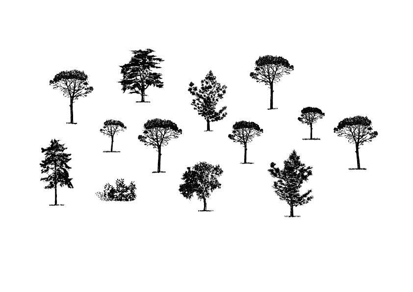 A 631 - Grafica Digitale