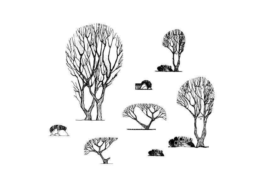 A 634 - Grafiche Digitali