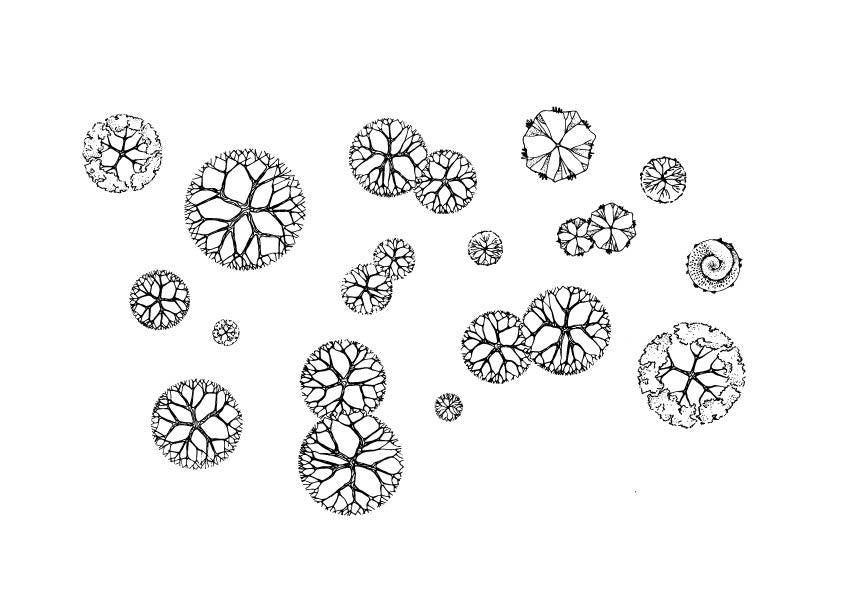 A 635 - Grafica Digitale