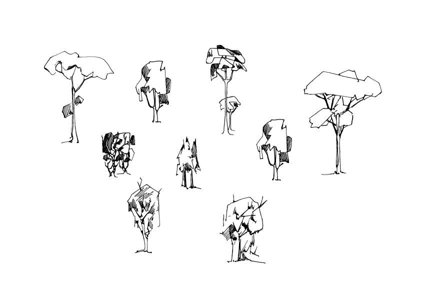 A 642 - Grafica Digitale