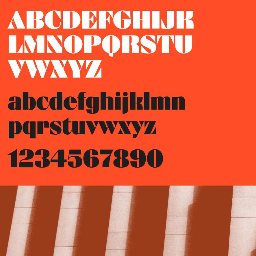 R41 DIVULGA Collezione A. Novarese